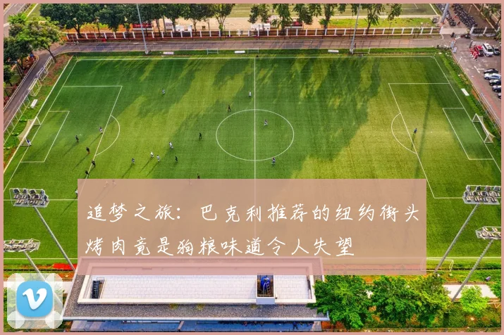 追梦之旅：巴克利推荐的纽约街头烤肉竟是狗粮味道令人失望