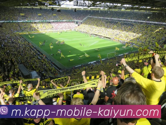 App 展示图